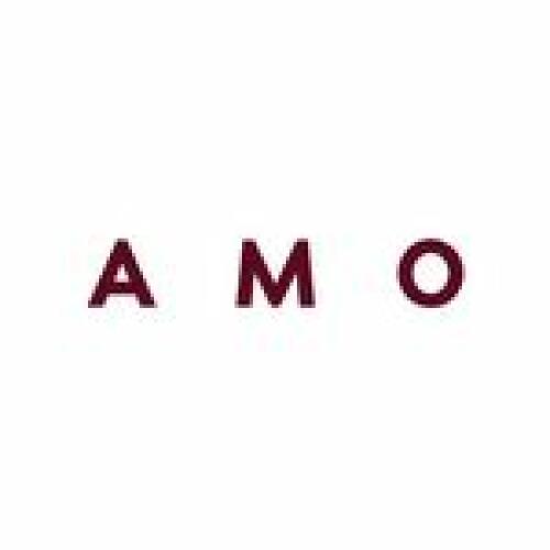 AMO Logo