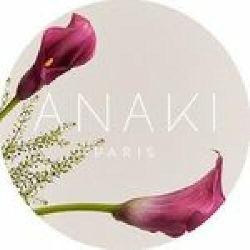 ANAKI Logo