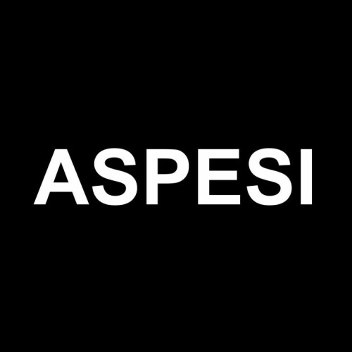 Aspesi Logo