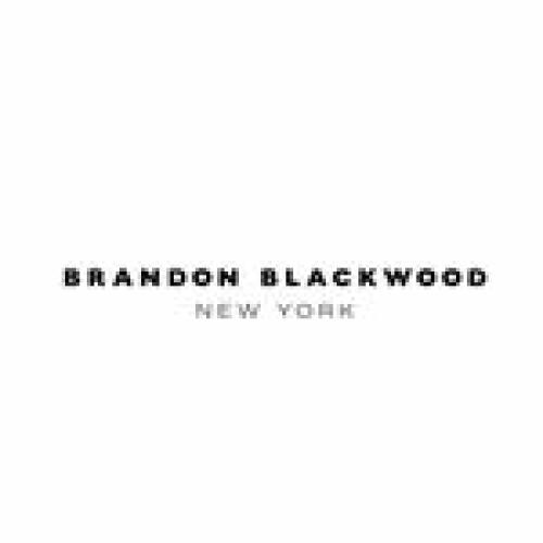 Brandon Blackwood Logo