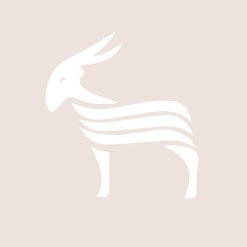 CASHMERE COMPANY Logo