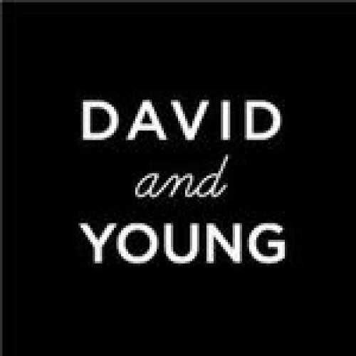 David & Young Logo