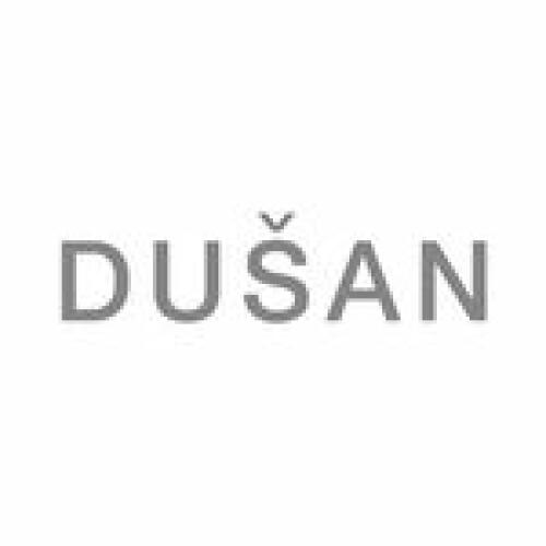 Dusan Logo