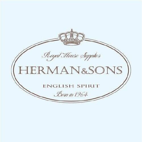 Herman & Sons Logo