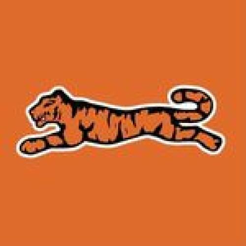 Le TIGRE Logo