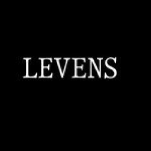 LEVENS JEWELS Logo