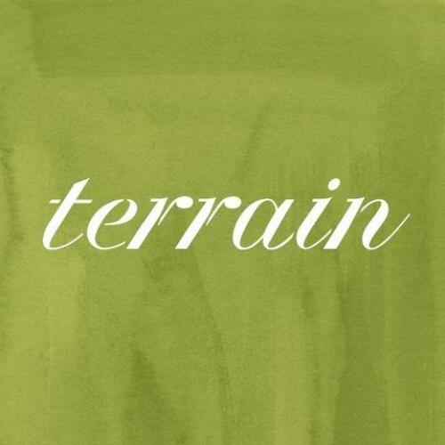 Terrain Logo