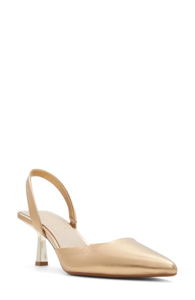 ALDO Basanti Pointed Toe Slingback Pump in Gold Cover