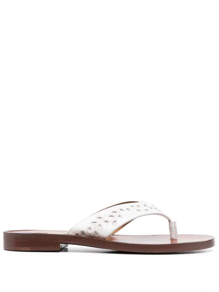 Chloé floral-embroidery flat flip flops - White Cover