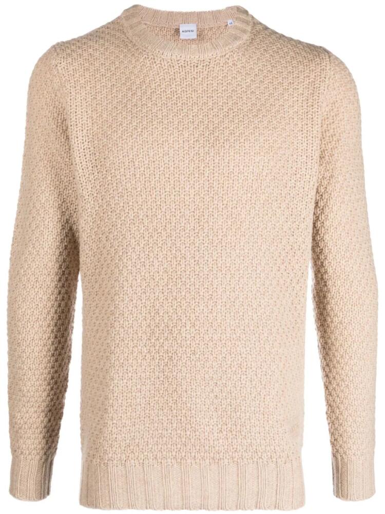 ASPESI chunky-knit wool jumper - Neutrals Cover