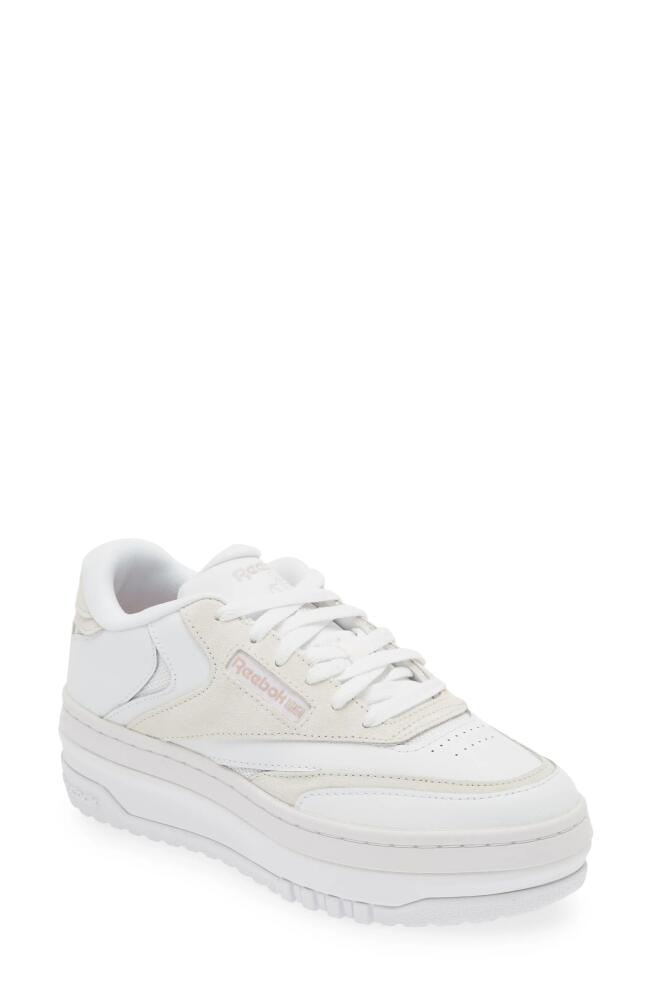 Reebok Club C Extra Platform Sneaker in White/Ashlil/Pure Grey Cover