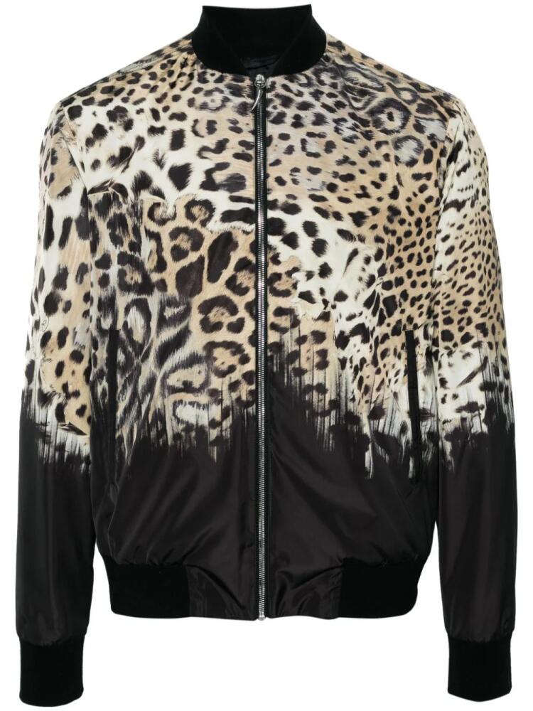 Roberto Cavalli Tiger Tooth-detailed leopard-print bomber jacket - Neutrals Cover