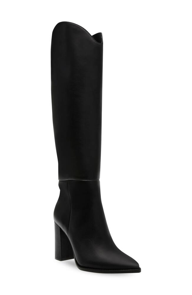 Steve Madden Bixby Pointed Toe Knee High Boot in Black Leather Cover