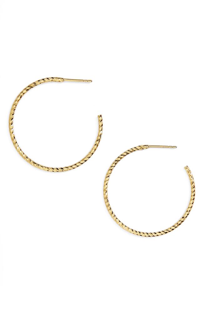 Argento Vivo Sterling Silver Argento Vivo Textured Hoop Earrings in Gold Vermeil Cover