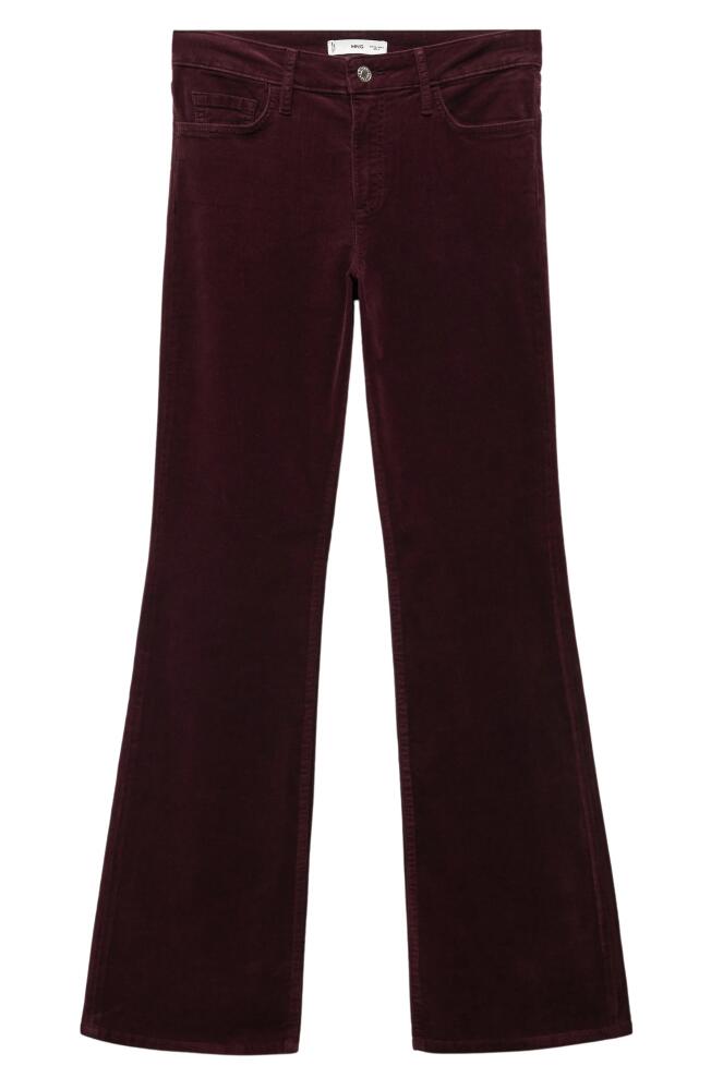 MANGO Corduroy Flare Leg Pants in Wine Cover