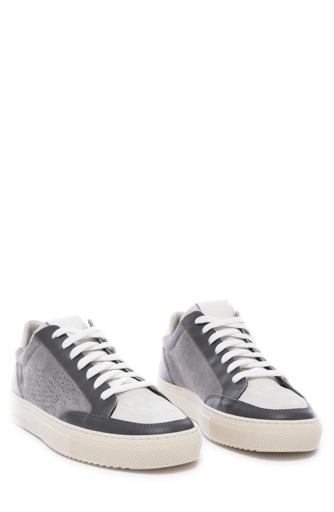 P448 Soho Sneaker in Grey-Meta Cover