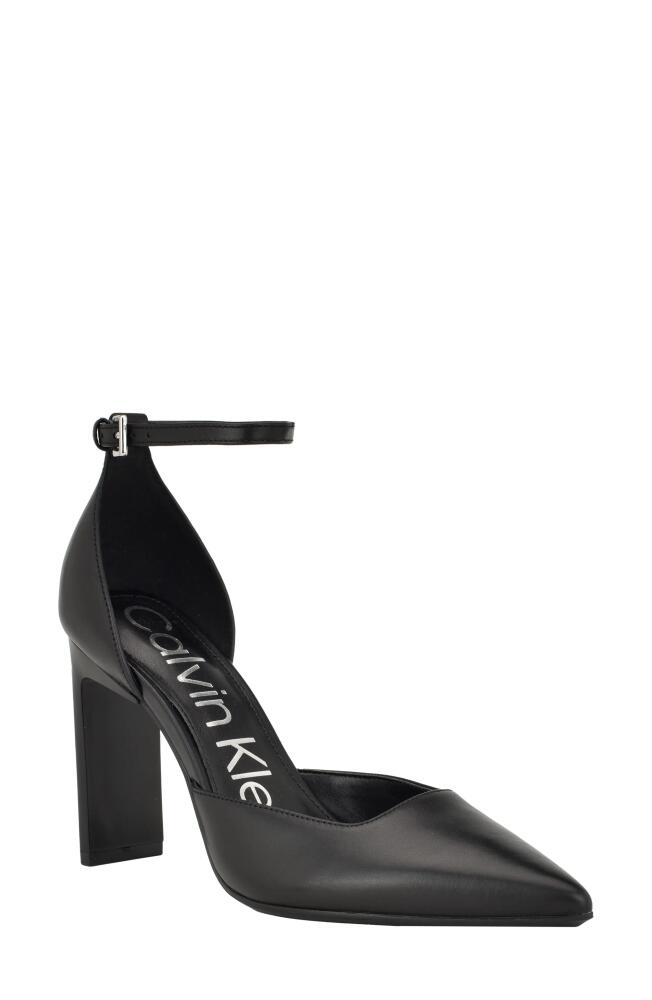 Calvin Klein Carcie Pointed Toe Pump in Black Cover