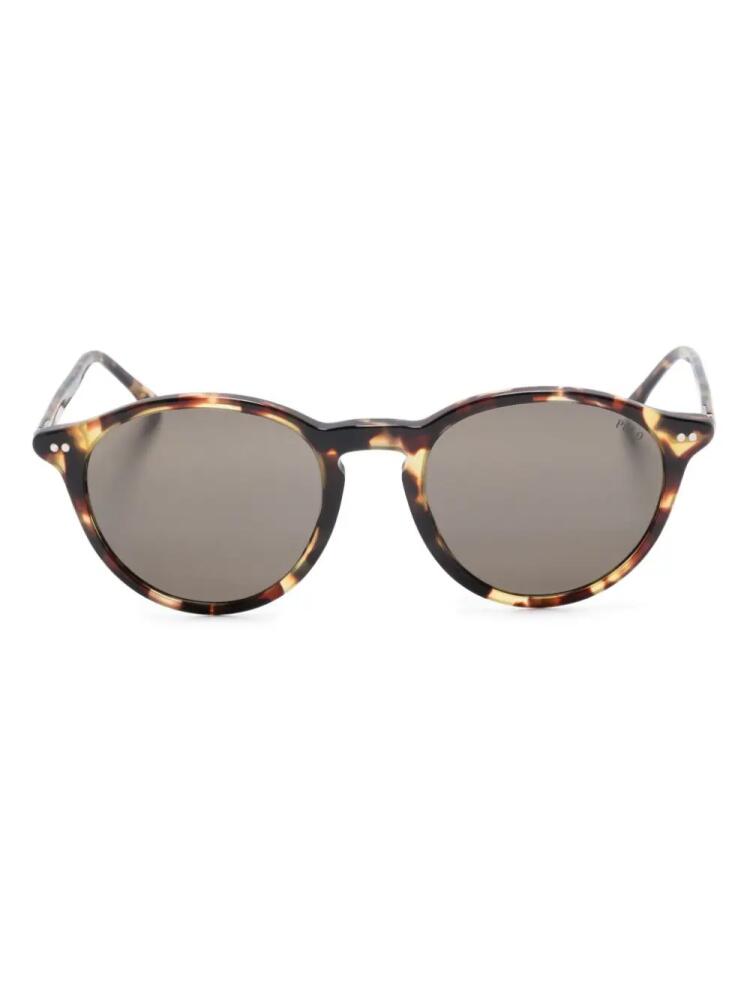 Polo Ralph Lauren tortoiseshell-effect round-frame sunglasses - Black Cover