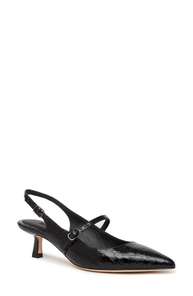 PAIGE Maggy Slingback Pointed Toe Pump in Black Cover