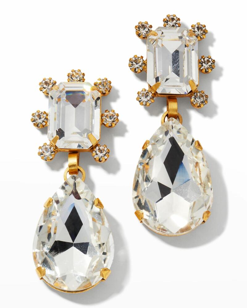 Elizabeth Cole Kelly Crystal Earrings Cover