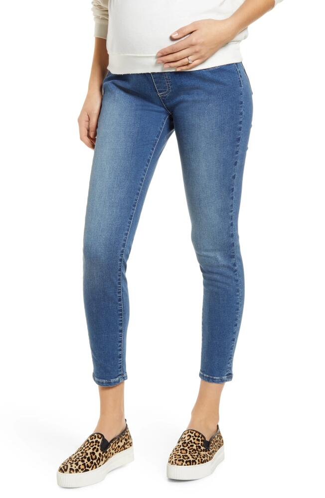 Angel Maternity High Waist Crop Maternity Jeans in Denim Blue Cover