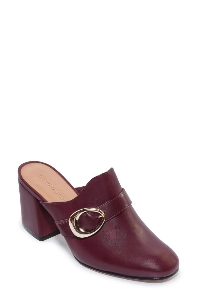 Bernardo Natasia Mule in Bordeaux Cover