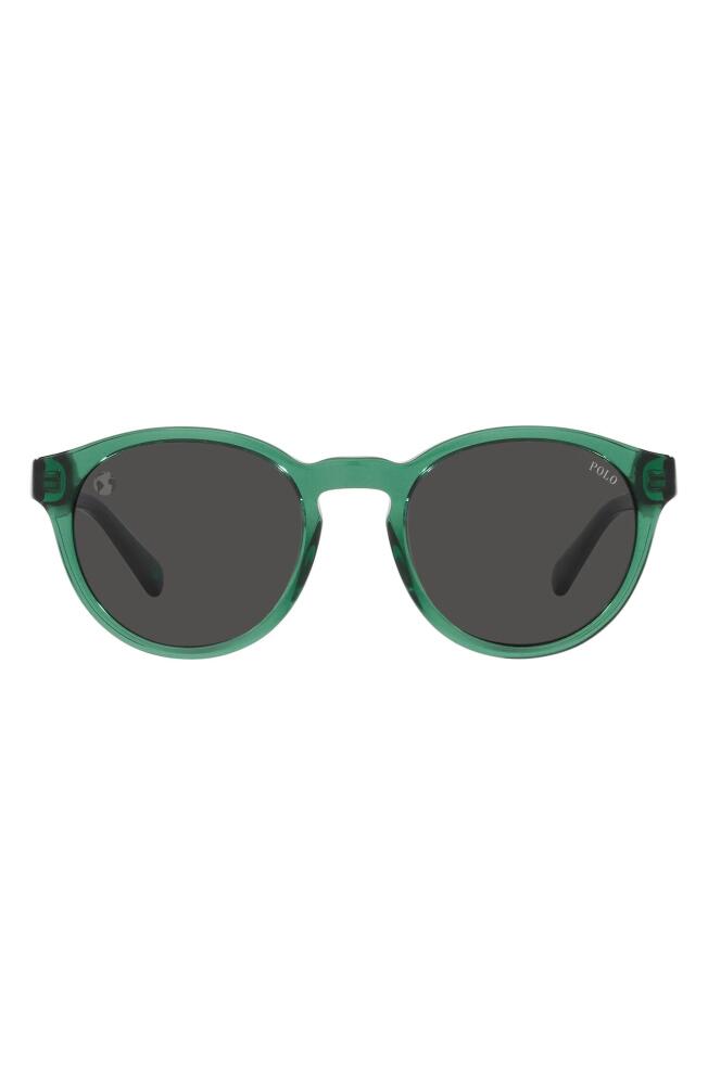 Polo Ralph Lauren 51mm Round Sunglasses in Green Cover