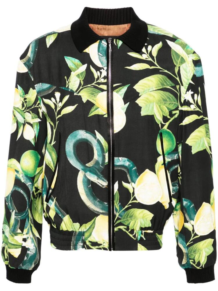 Roberto Cavalli lemon-print twill bomber jacket - Black Cover