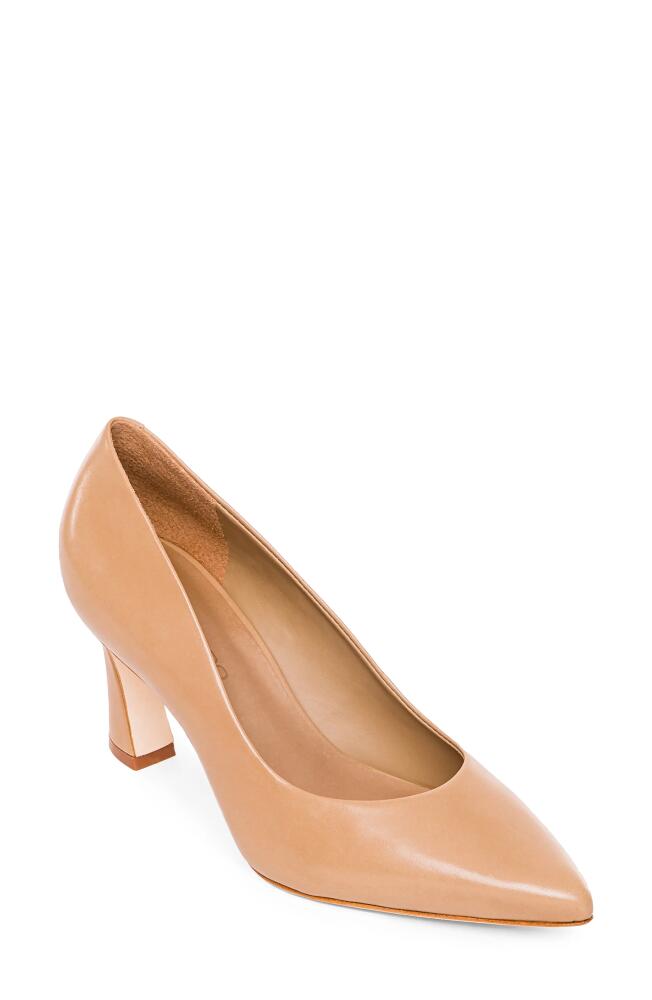 Bernardo Footwear Faryn Pointed Toe Pump in Sand Leather Cover