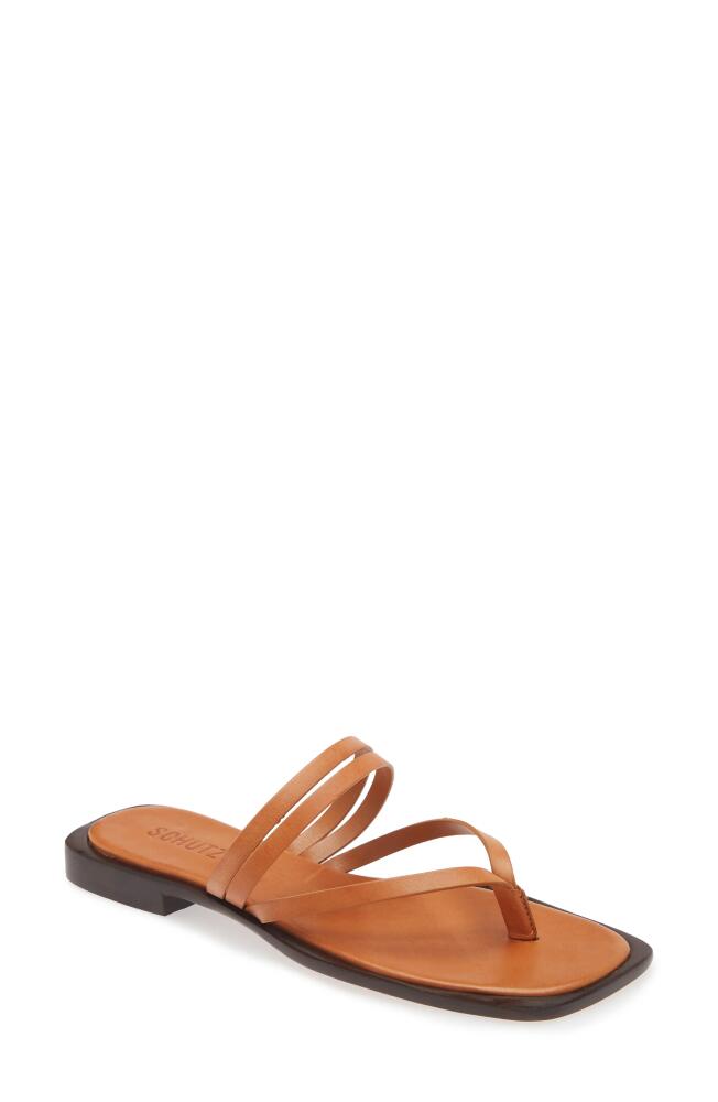 Schutz Rania Strappy Flip Flop in Cuoio Brown Cover