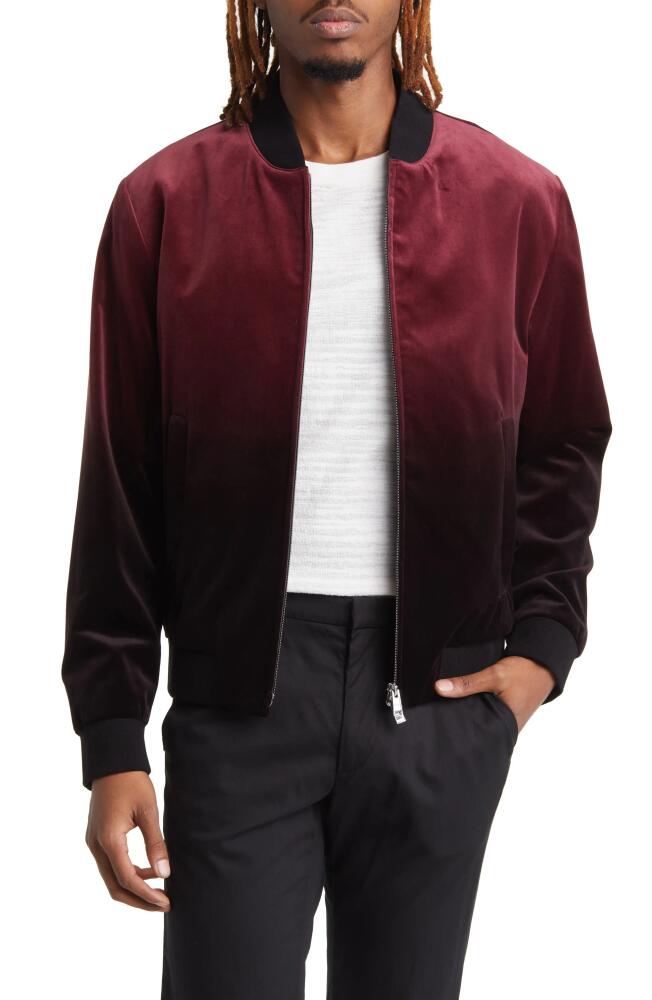 BOSS Hanry Ombré Bomber Jacket in Dark Red Cover