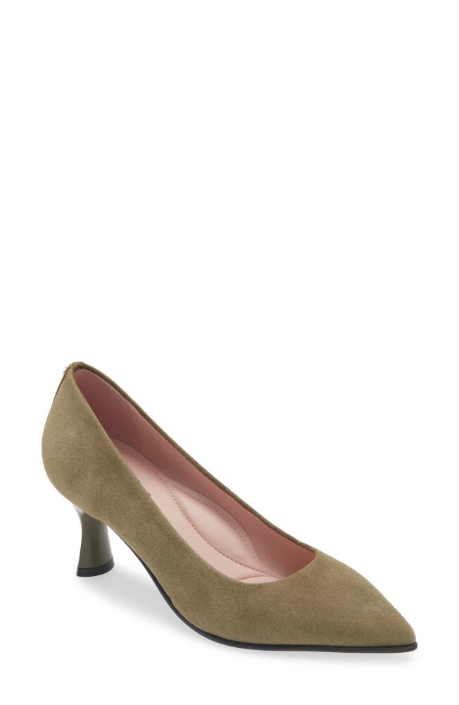 Naot Margot Pointed Toe Pump in Olive Suede Cover