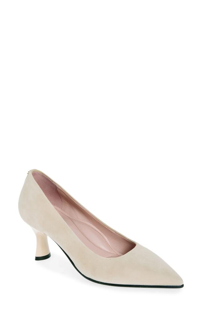 Naot Margot Pointed Toe Pump in Taupe Classic Suede Cover