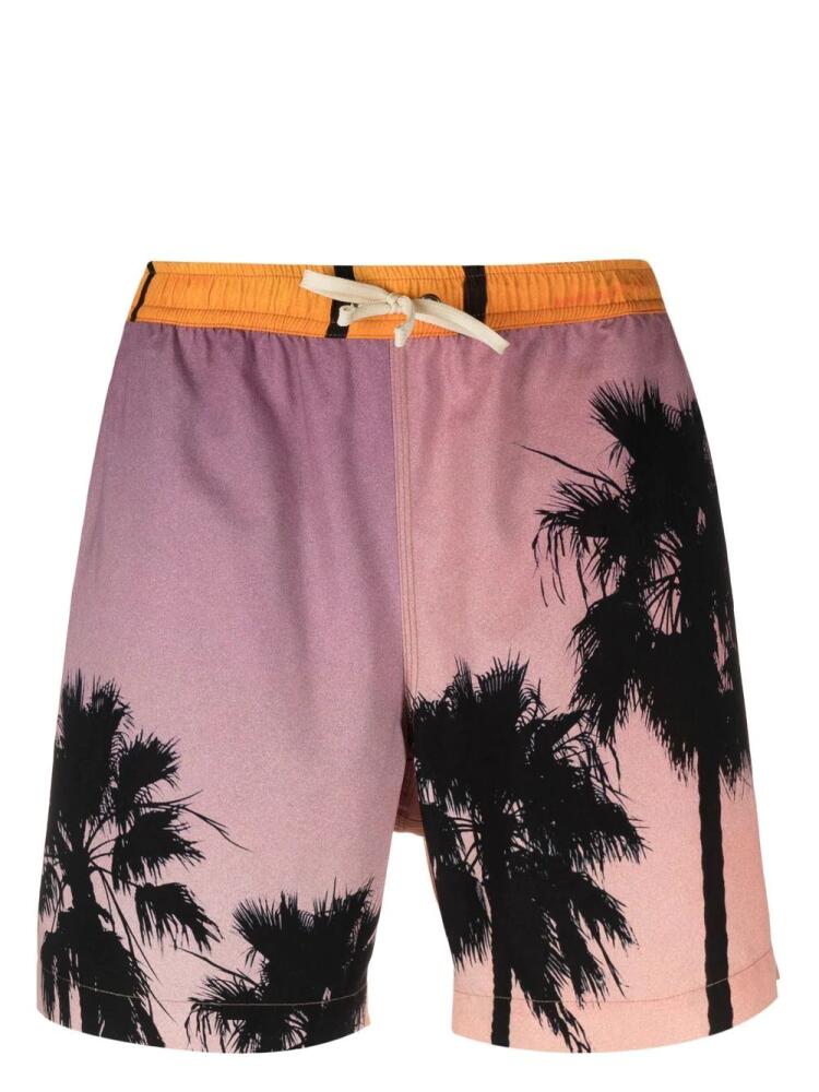 BLUE SKY INN palm tree-print swim shorts - Orange Cover