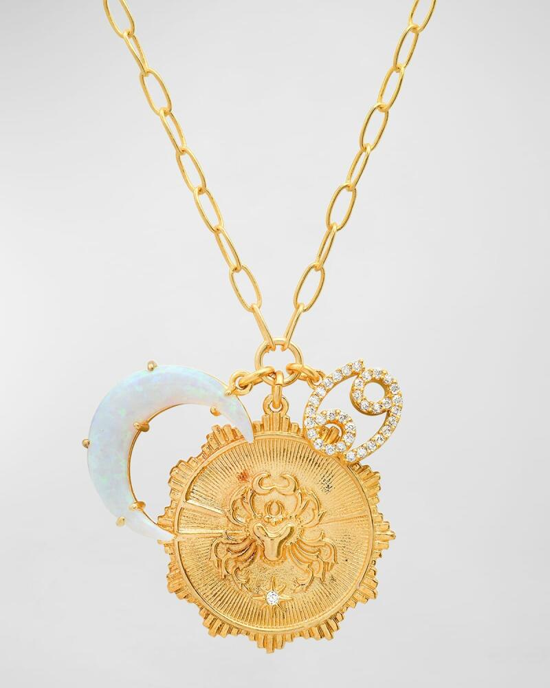 Tai New Zodiac Charm Necklace Cover