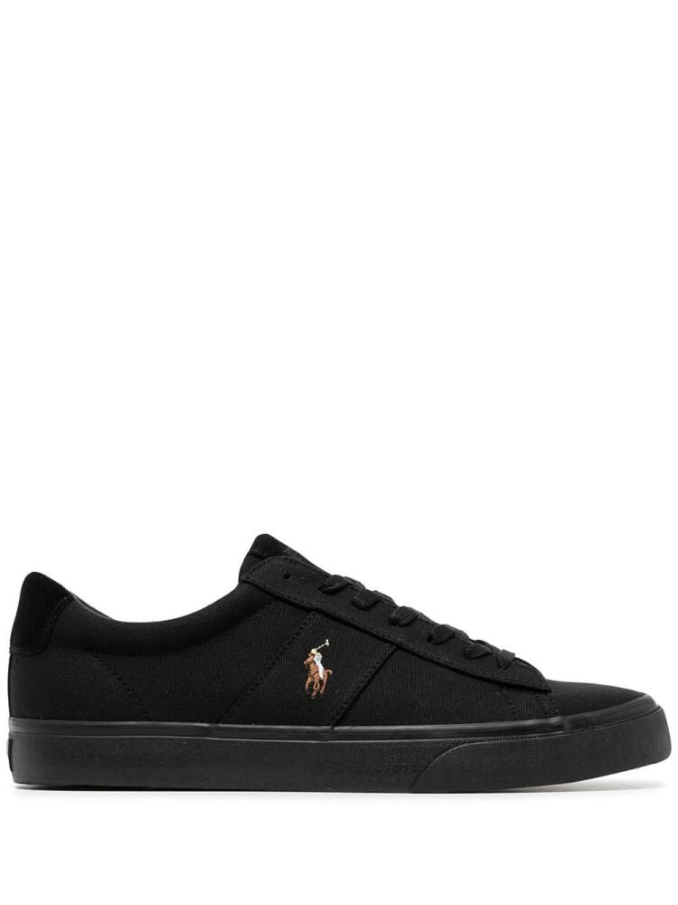 Polo Ralph Lauren Polo Pony low-top sneakers - Black Cover