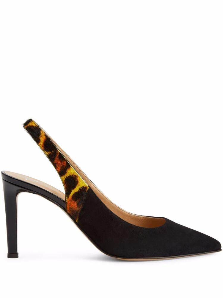 Giuseppe Zanotti Susie Feline pumps - Black Cover