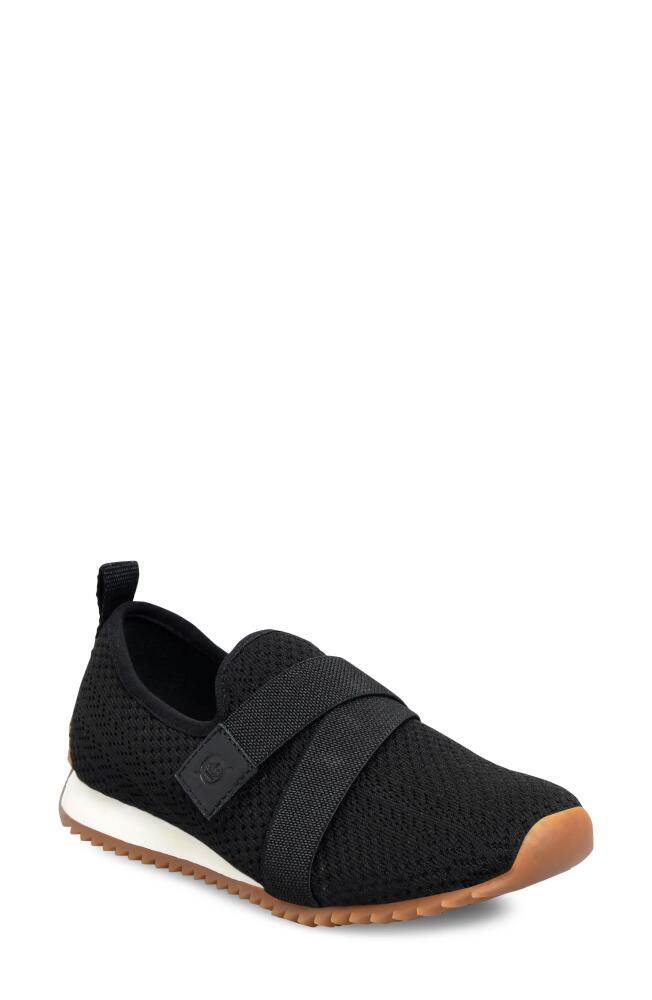 Børn Newberry Knit Sneaker in Black Knit Fabric Cover