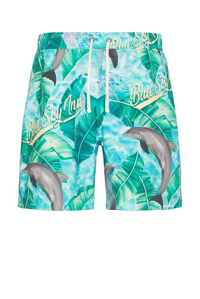 Blue Sky Inn Dolphin Swim Trunks in Blue Cover