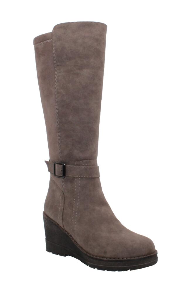 Volatile Cabrillo Tall Wedge Boot in Taupe Cover