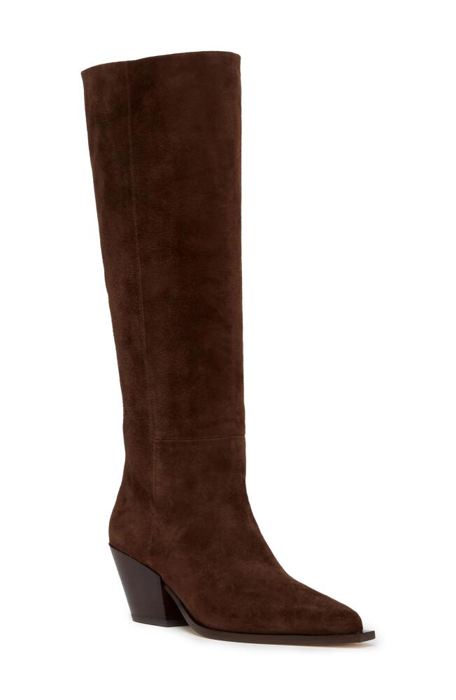 PAIGE Lillian Pointed Toe Knee High Boot in Chocolate Cover