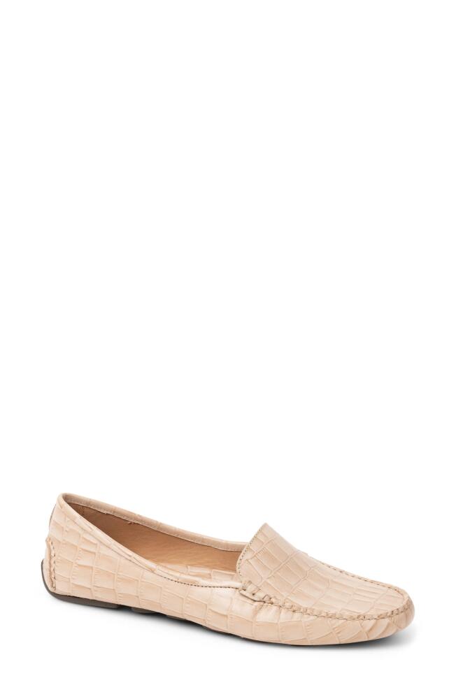 patricia green 'Jillian' Loafer in Tan Crocodile Cover