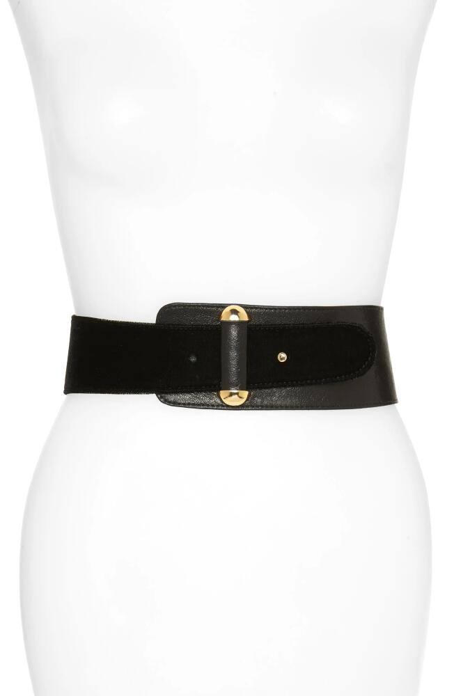 Raina Vixen Leather Belt in Black Cover