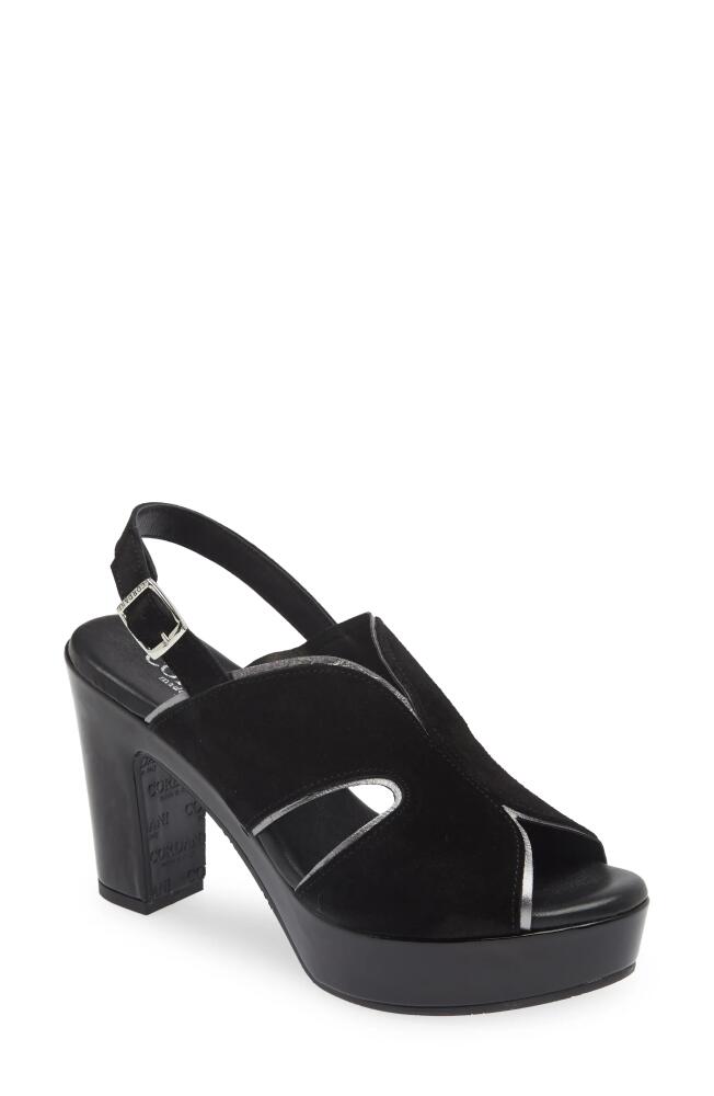 Cordani Toni Slingback Sandal in Crosta Nero Cover