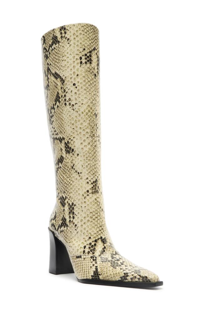 Schutz Raffaela Up Block Pointed Toe Knee High Boot in Animal Print Cover