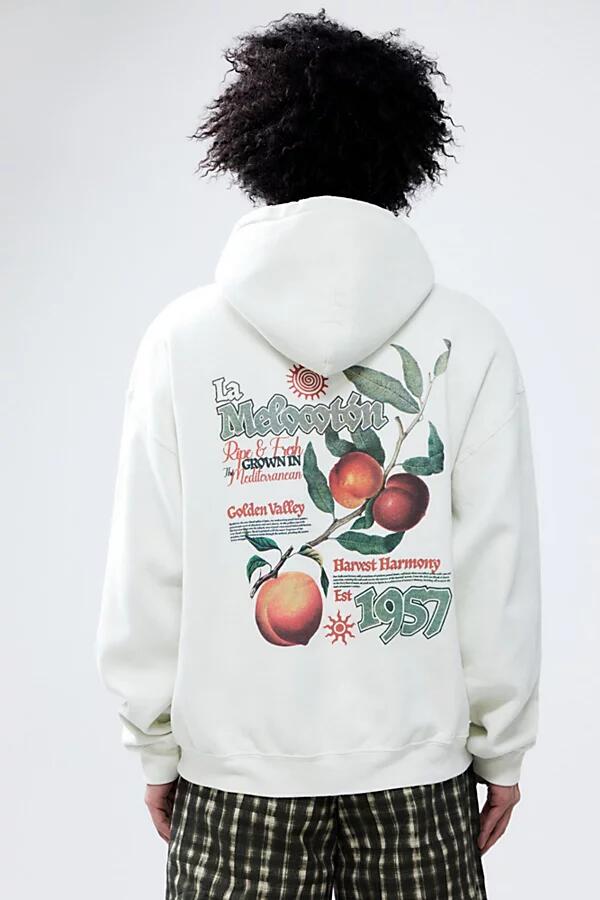 Urban Outfitters UO Ecru La Melocotin Hoodie Sweatshirt in Cream Cover