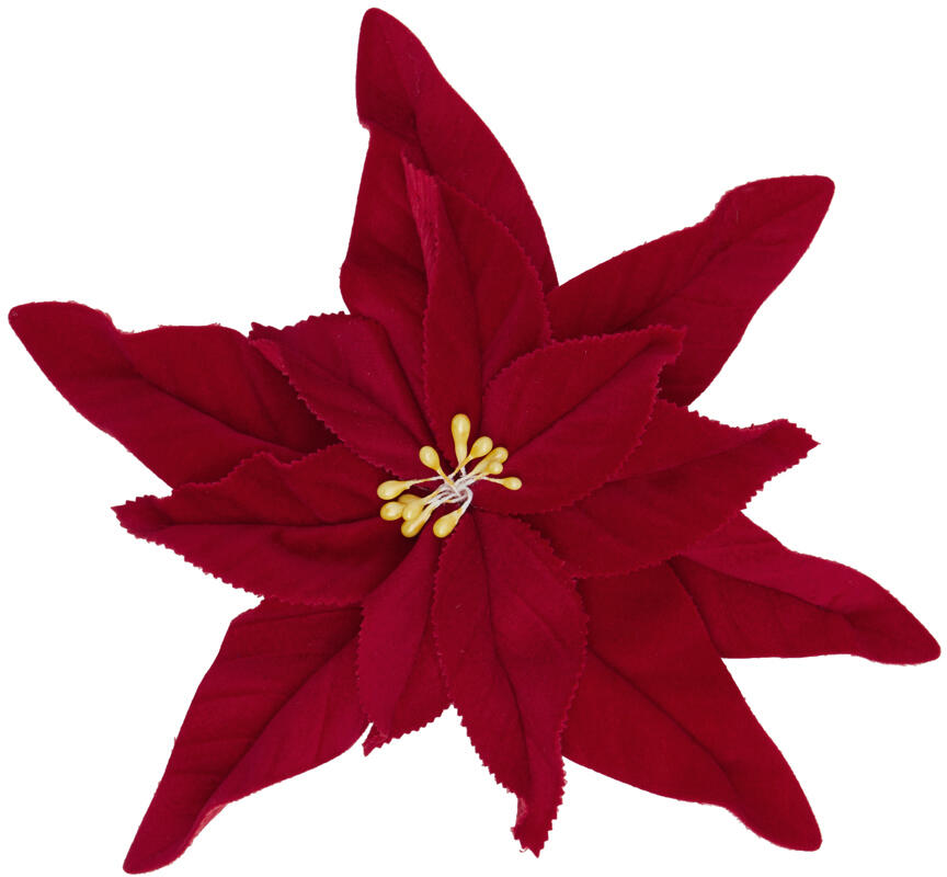 JW Anderson Red Poinsettia Brooch Cover