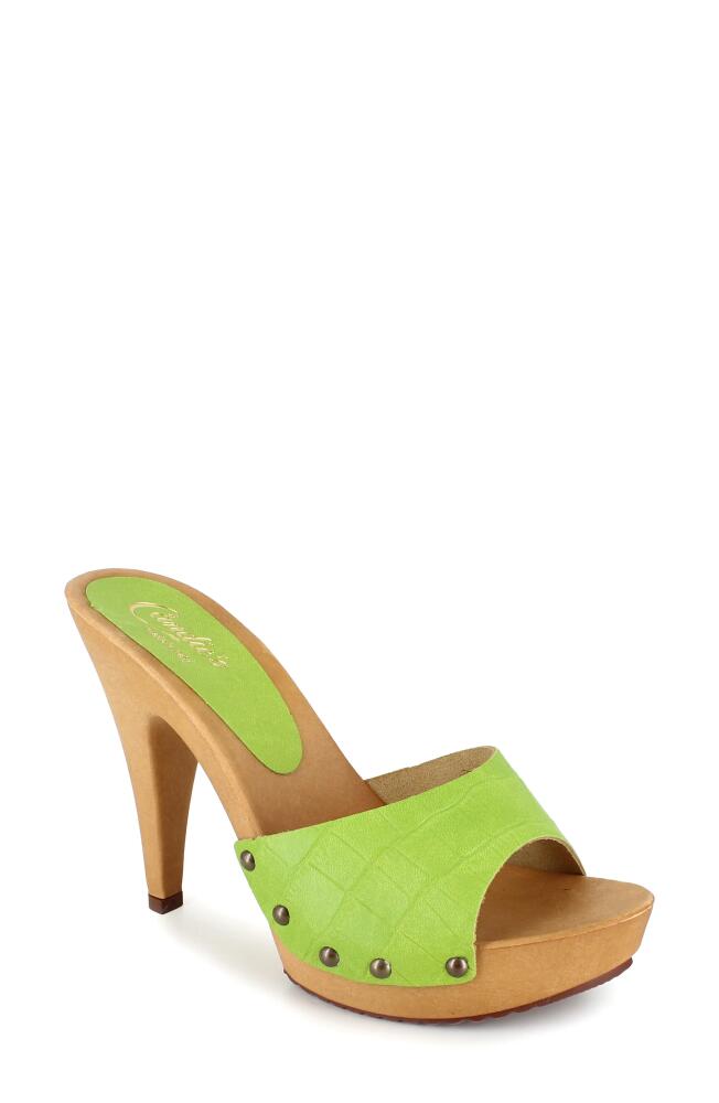 Candie's Viviana Slide Sandal in Lime Cover