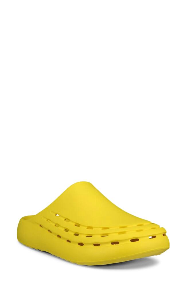 ECCO Cozmo Perforated Mule in Buttercup Cover