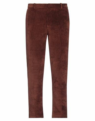 Circolo 1901 Man Pants Cocoa Cotton, Polyester Cover